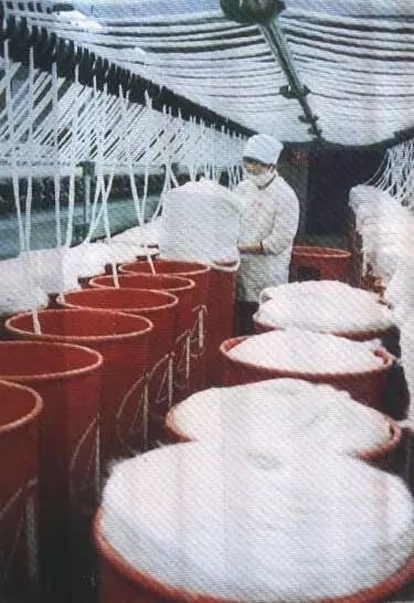 老照片100张阜阳三角洲,高清阜阳八十年代照片