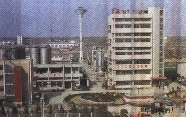 老照片100张阜阳三角洲,高清阜阳八十年代照片