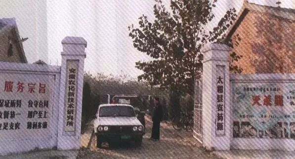 老照片100张阜阳三角洲,高清阜阳八十年代照片