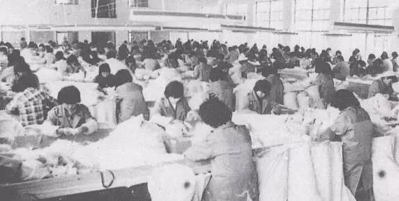 老照片100张阜阳三角洲,高清阜阳八十年代照片