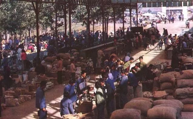 老照片100张阜阳三角洲,高清阜阳八十年代照片