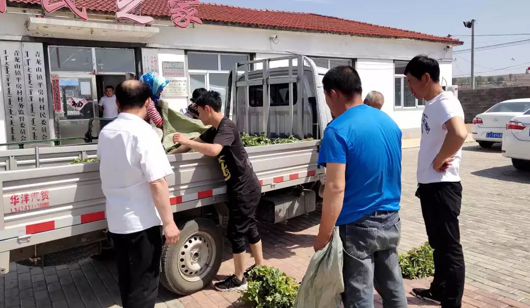 农家小庭院变身观光园增收园,农家小庭院变身致富园