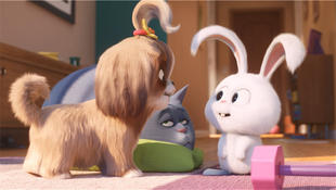 八佰伴7月8号活动,八佰群演海选