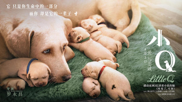 八佰伴7月8号活动,八佰群演海选