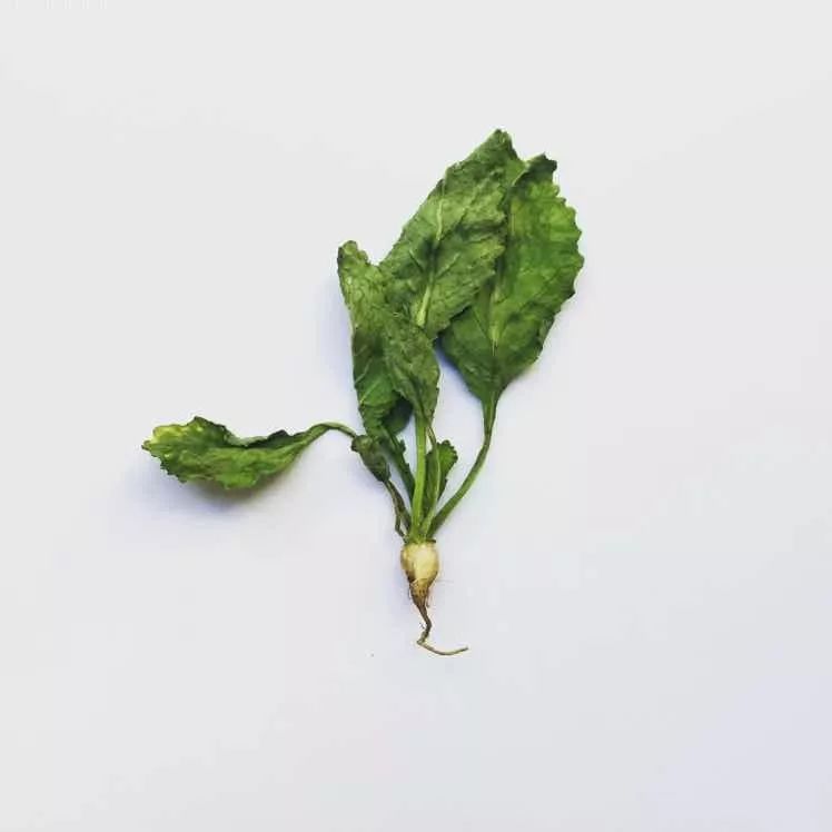 收拾行李只需要十分钟,10分钟收拾东西