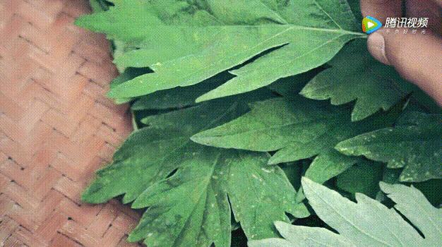 2024临桂端午节有什么活动,临桂端午有什么活动