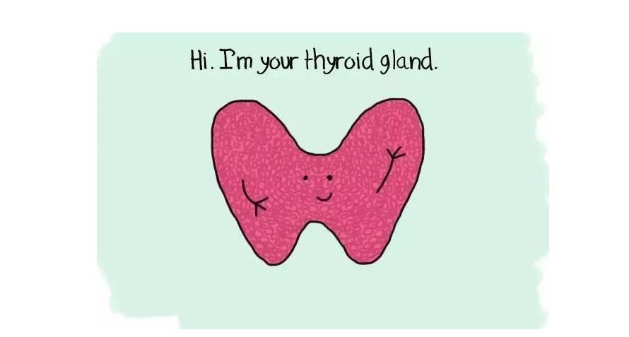 孕期甲状腺功能减退饮食注意,妊娠期甲状腺功能减退用药