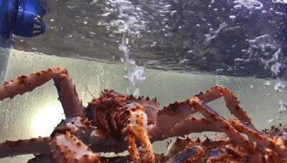 曲江公馆高端餐厅必吃榜,曲江排名第一的餐厅