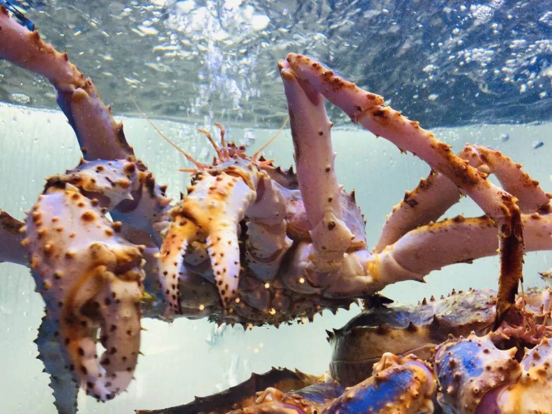 曲江公馆高端餐厅必吃榜,曲江排名第一的餐厅