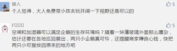 大同某商场企鹅馆被吐槽,柳南万达海洋企鹅馆