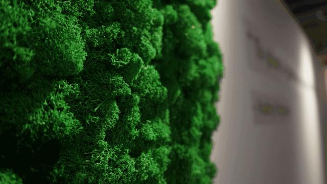 在西湖边种下一片“草原”！杭州这家肯德基“绿”了！种草指南在这里