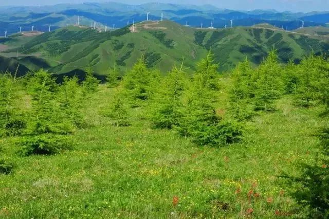 旅发大会沽源,张家口沽源旅发大会