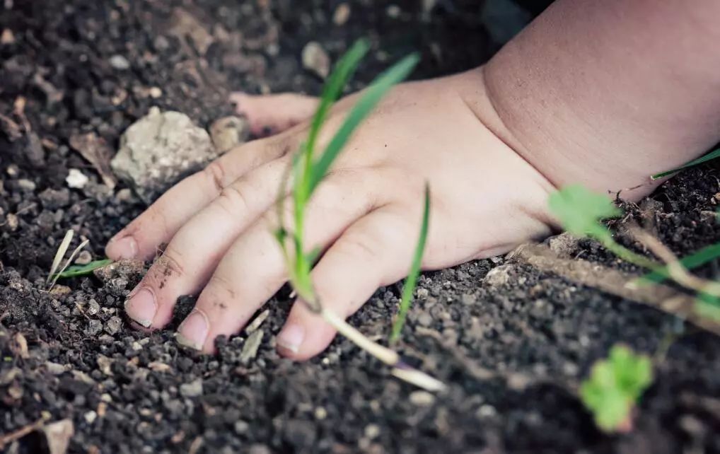 小孩吃了一根头发到肚子里怎么办,小孩子不小心吃了头发到肚子里