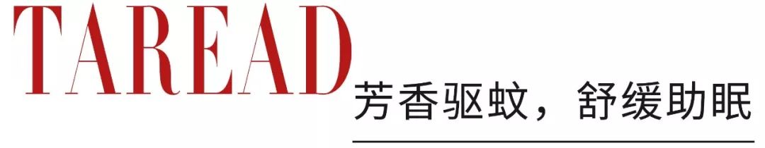 明星都在穿的不显腿粗的裤子,整个娱乐圈都在穿什么裙子