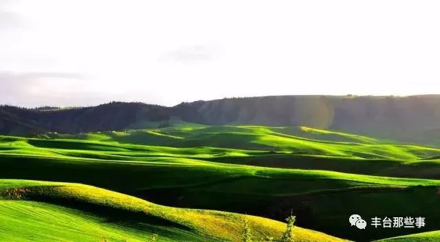 OMG!拿下万千家庭,一口就上瘾~~仅有1/1000的人才能喝到的“奶中贵族”,竟然是它