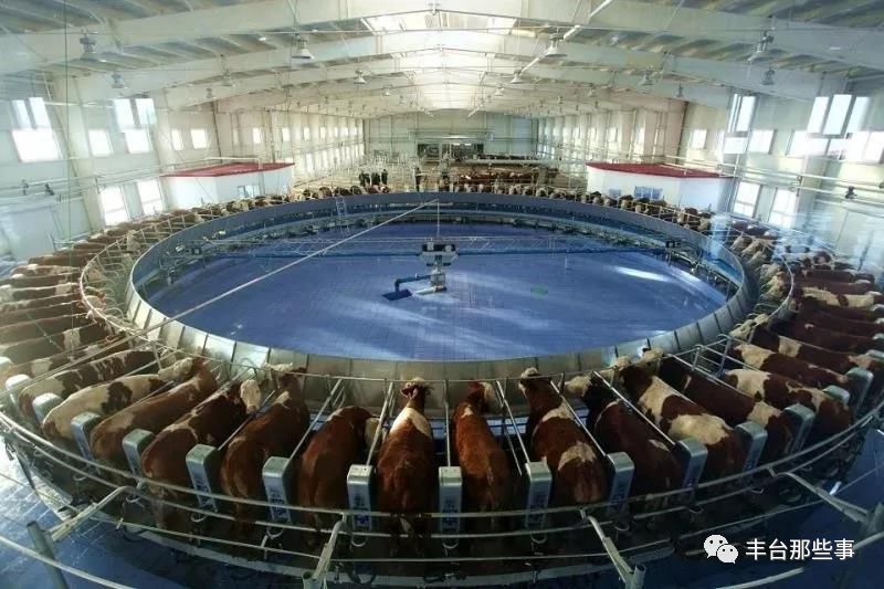 OMG!拿下万千家庭,一口就上瘾~~仅有1/1000的人才能喝到的“奶中贵族”,竟然是它