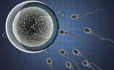 常吸烟、饮酒，偏胖，当心“少精症”偏爱你