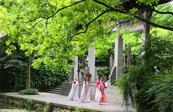 诗游记夏令营，有什么不一样？来听听树先生怎么说