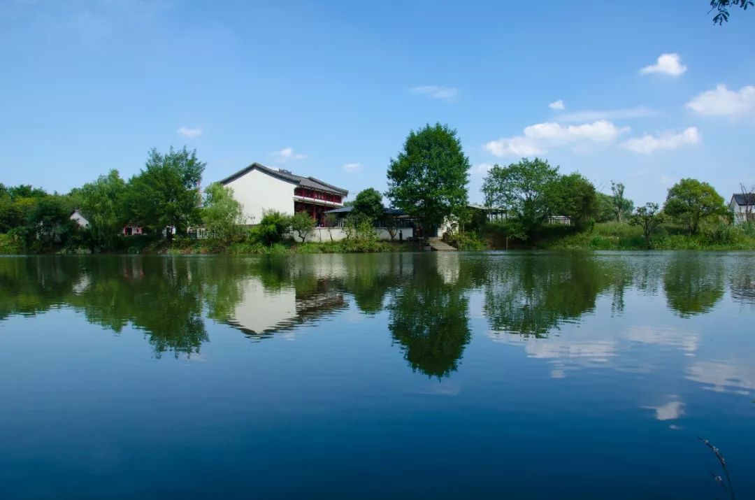 诗游记夏令营，有什么不一样？来听听树先生怎么说