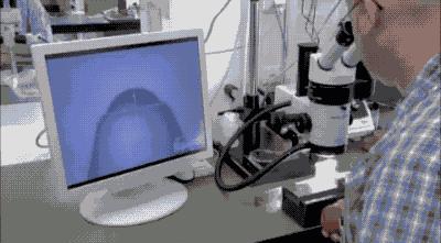 圆珠笔为什么能按动,圆珠笔为啥一按就弹出去了