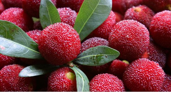 3颗杨梅下肚，宁波小伙喉咙肿胀呼吸困难…这种情况千万管住自己的嘴