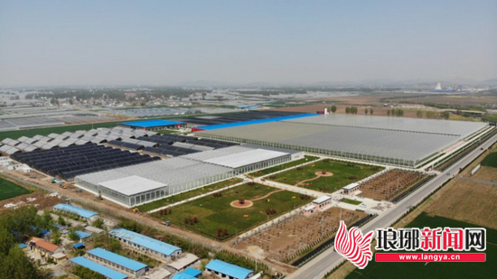 乡村振兴兰陵县,乡村振兴兰陵