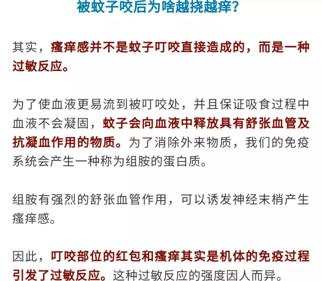爱吃甜食比较招蚊子,为什么甜食吃多了会招蚊子