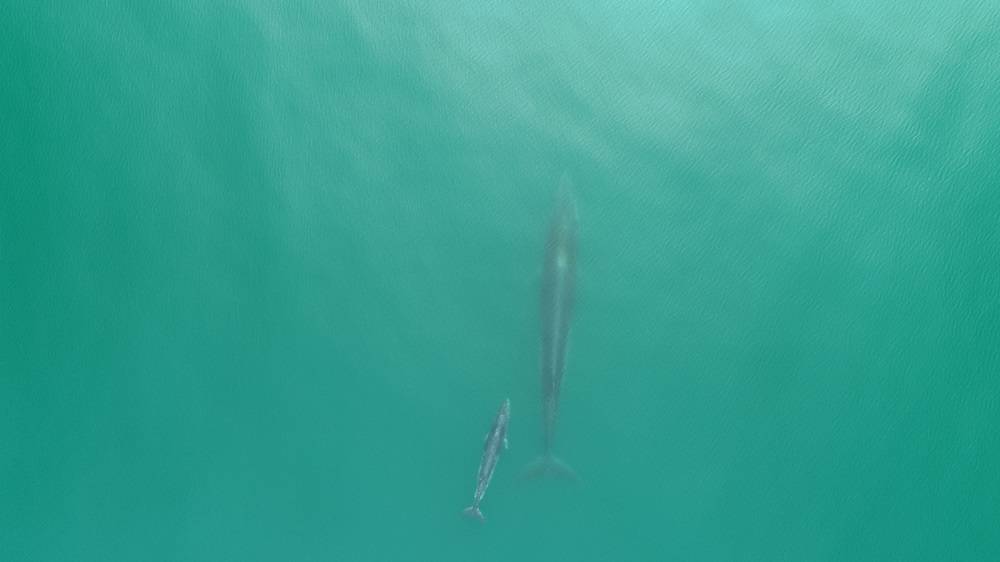 北海未来15天空气质量指数,广西空气质量全国排名第几