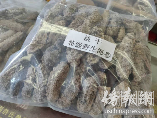 墨西哥海参一斤多少钱,墨西哥海参最新消息