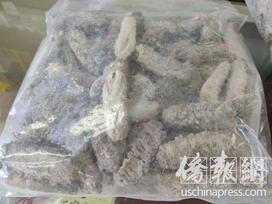 墨西哥海参一斤多少钱,墨西哥海参最新消息