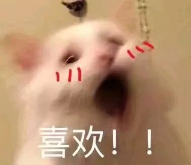 好物|尴尬,我看到你内衣的边边和背上勒出的肉了......