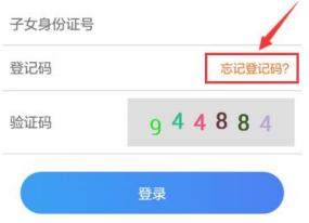 石家庄义务教育入学报名入口,石家庄义务教育小学入学服务平台