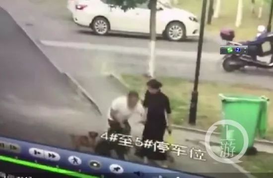 小狗遭不拴绳大狗撕咬,男子护小狗不成被咬!*体下**缝30多针