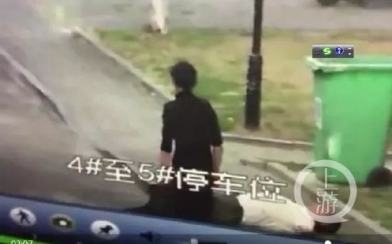 小狗遭不拴绳大狗撕咬,男子护小狗不成被咬!*体下**缝30多针