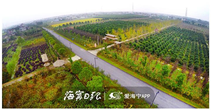 海宁漂亮吗,海宁好看的风景