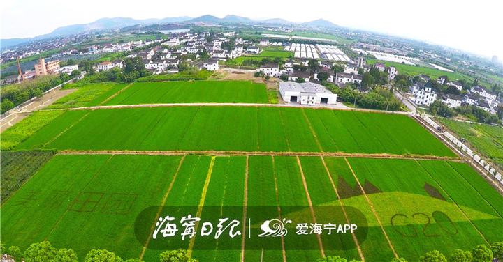 海宁漂亮吗,海宁好看的风景