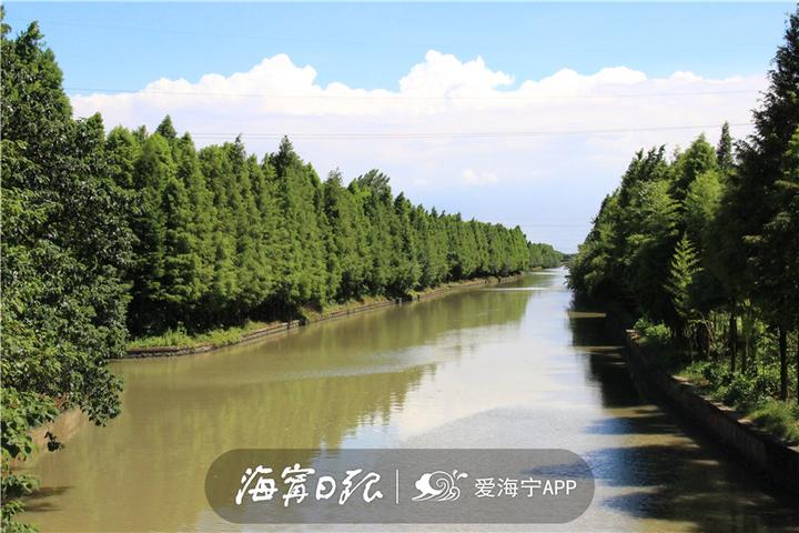 海宁漂亮吗,海宁好看的风景