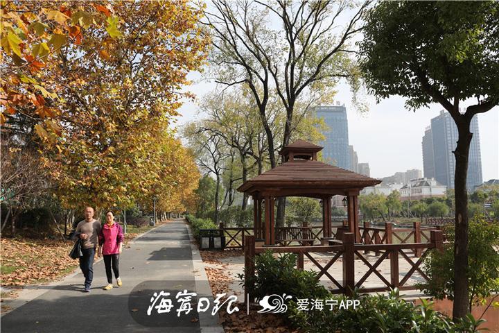 海宁漂亮吗,海宁好看的风景