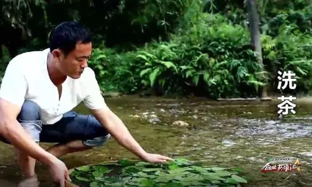 退伍军人结缘鹧鸪茶，打造舌尖上的海南岛，年销售额达1000万元