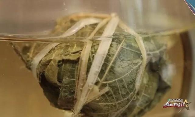 退伍军人结缘鹧鸪茶，打造舌尖上的海南岛，年销售额达1000万元