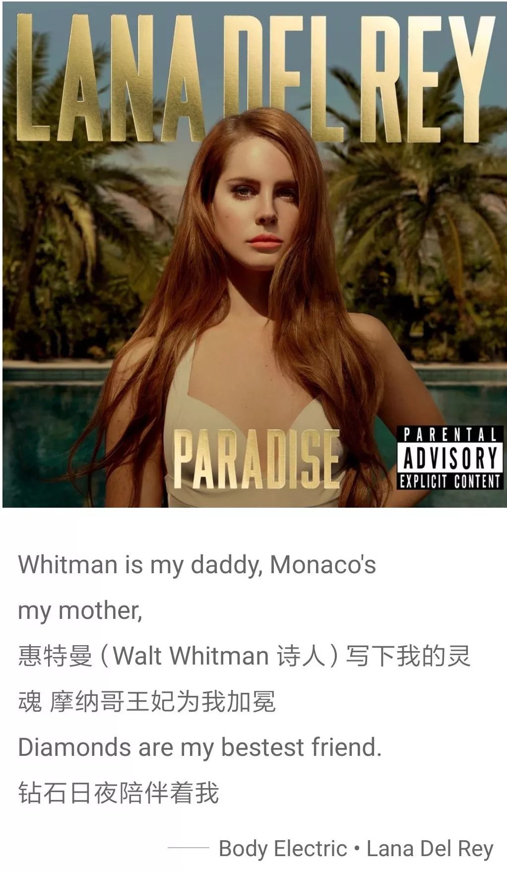 音乐和文学这对CP，我爱了