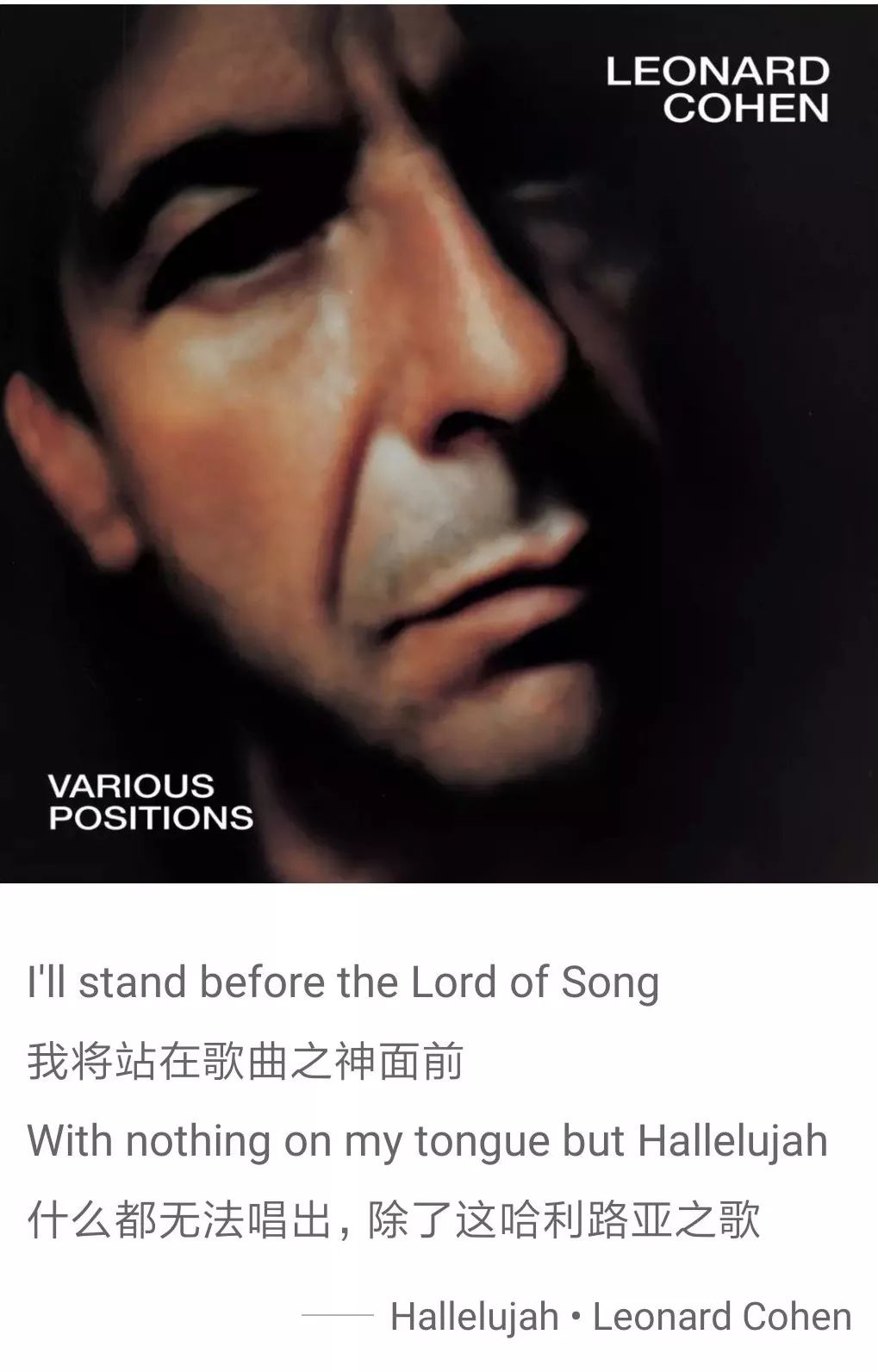 音乐和文学这对CP，我爱了