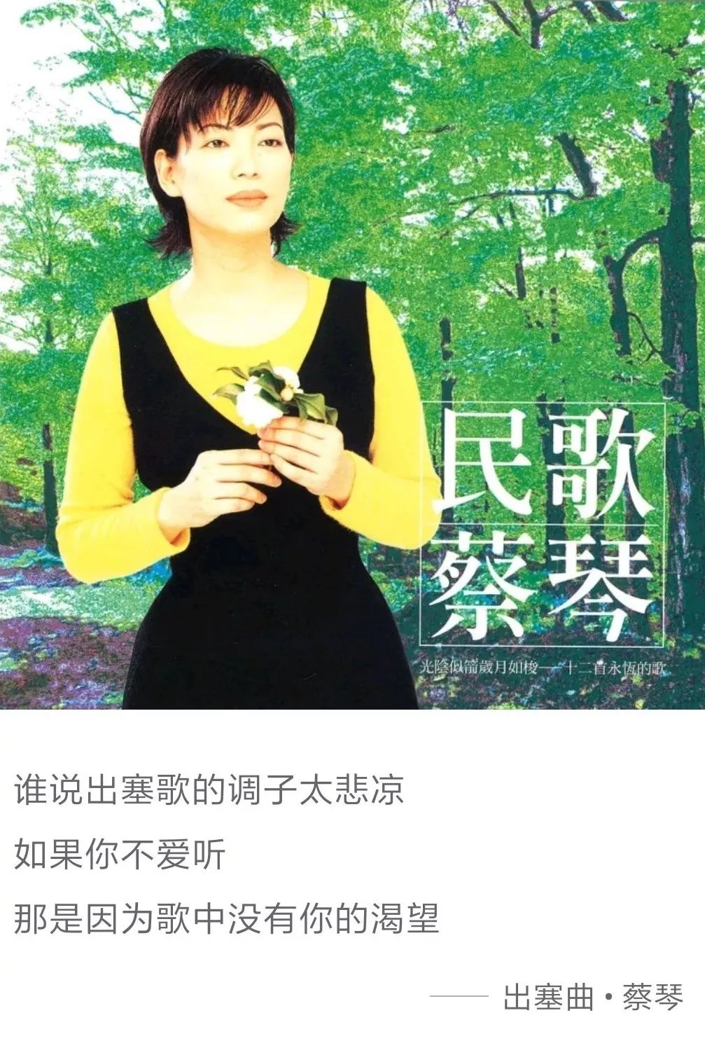 音乐和文学这对CP，我爱了