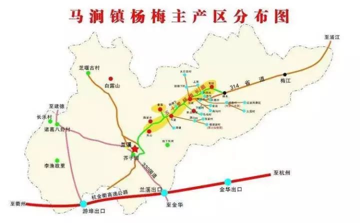 兰溪东魁杨梅采摘时间,兰溪杨梅红了