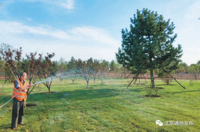 通州新地块最新消息,通州景观大道