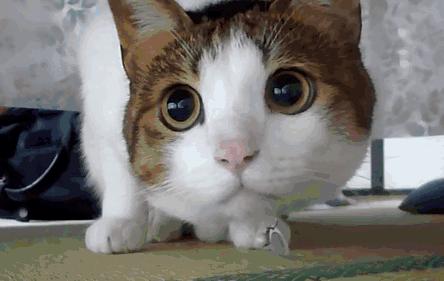 国家发文近视矫正,国家提倡预防近视