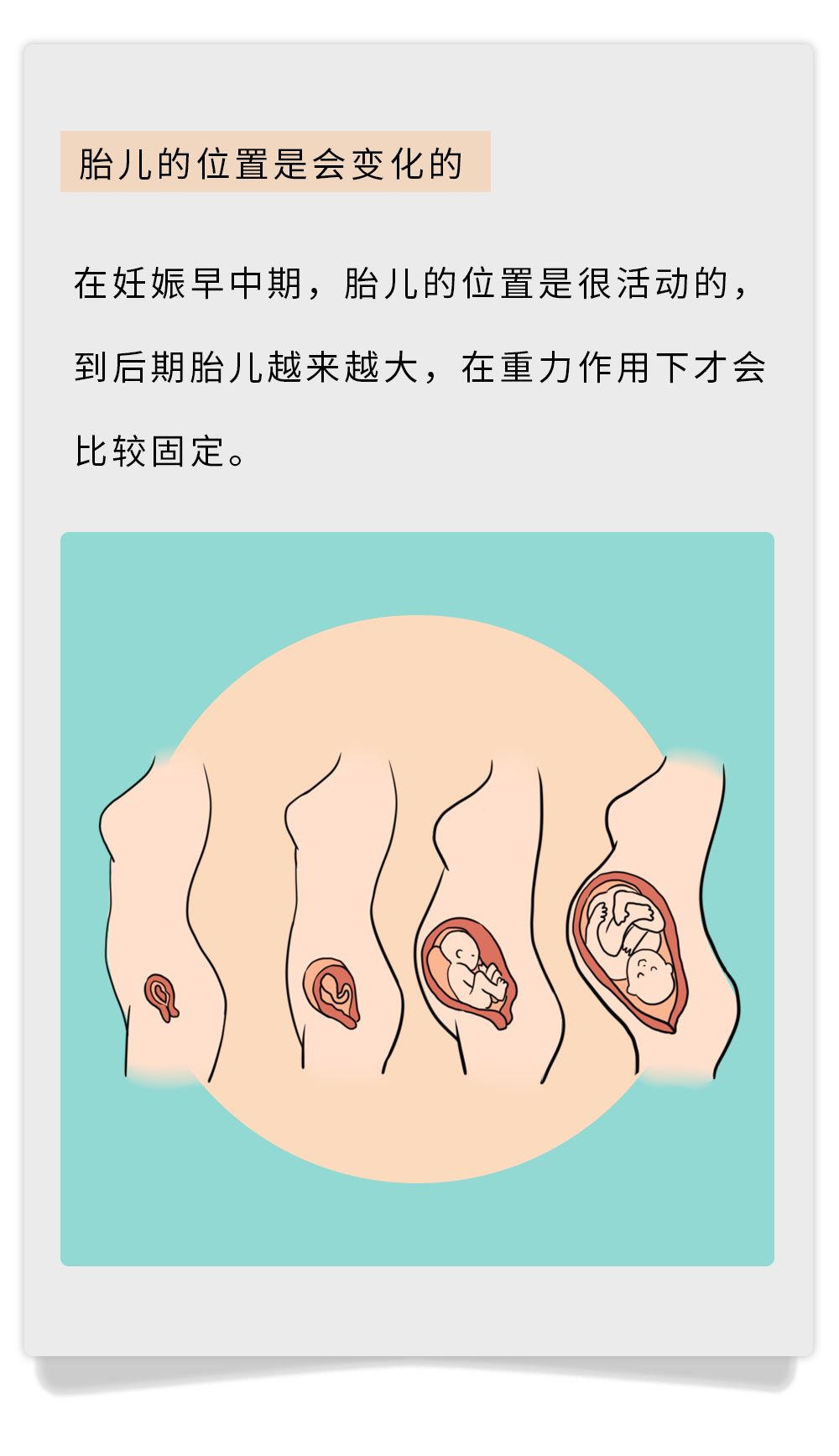 漫画类科普小视频,漫画类的科普知识