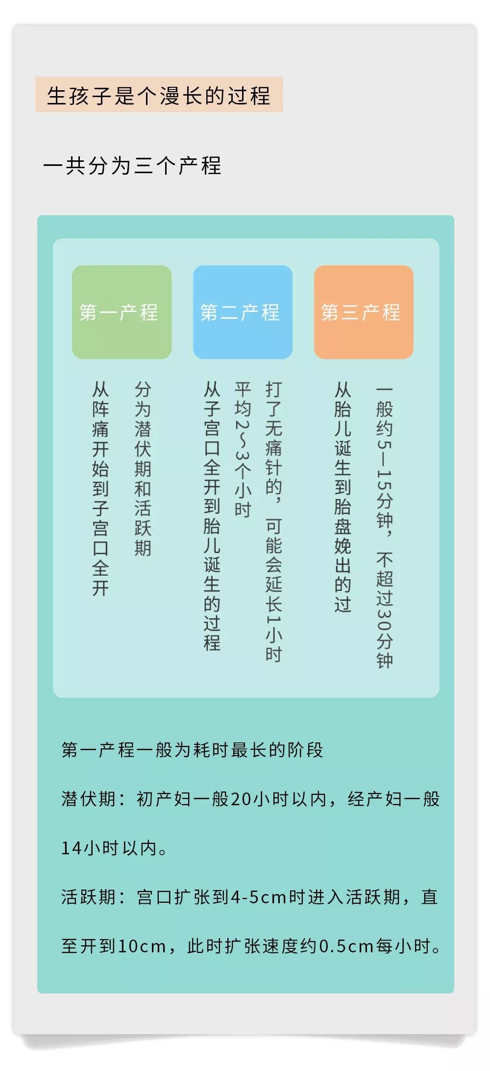 漫画类科普小视频,漫画类的科普知识