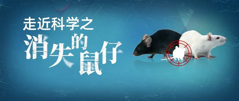 走近科学之消失的引擎盖,走近科学之消失的井盖