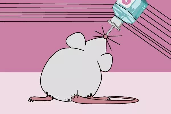 走近科学之消失的引擎盖,走近科学之消失的井盖